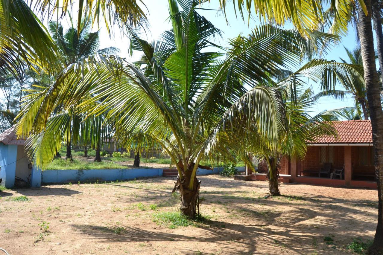 O Camarao Hotel Calangute Kültér fotó